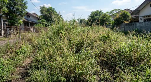 Potong Rumput & Taman