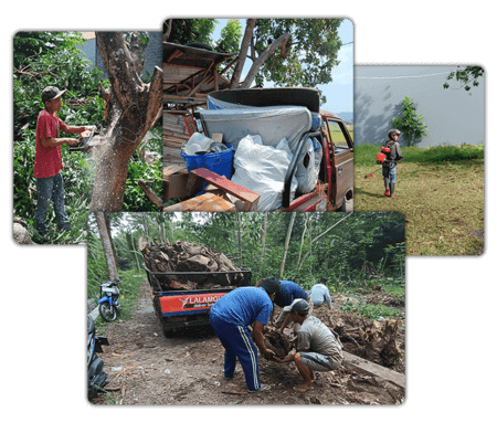 Jasa buang berang bekas, tebang pohon, dan potong rumput terdekat