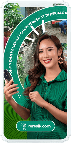 Jasa Tebang Pohon Murah dan Terdekat di Berbagai Kota