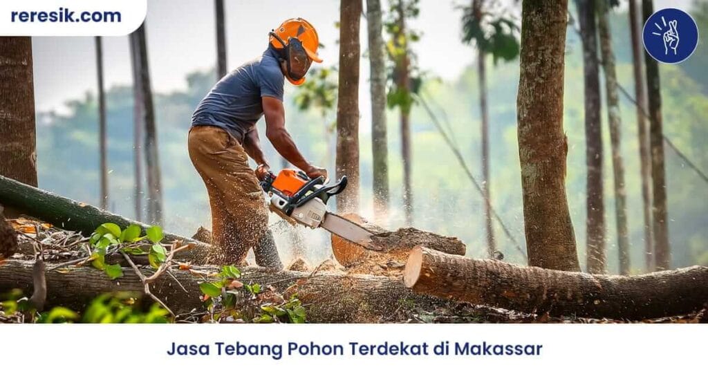 Jasa tebang pohon Makassar