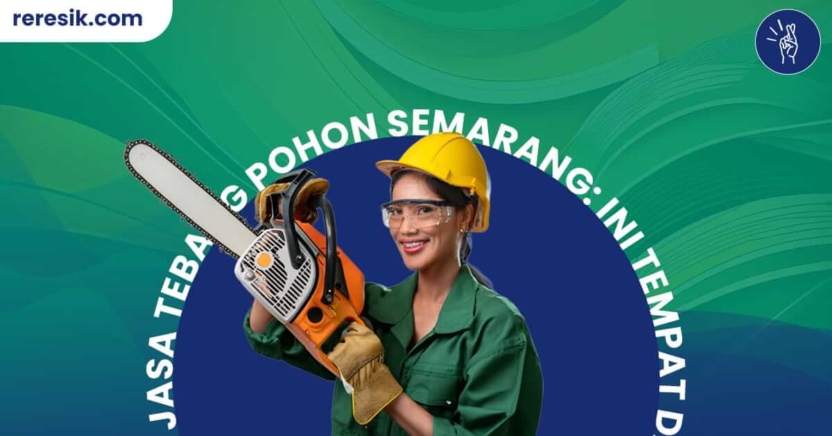 Jasa tebang pohon Semarang ini biayanya