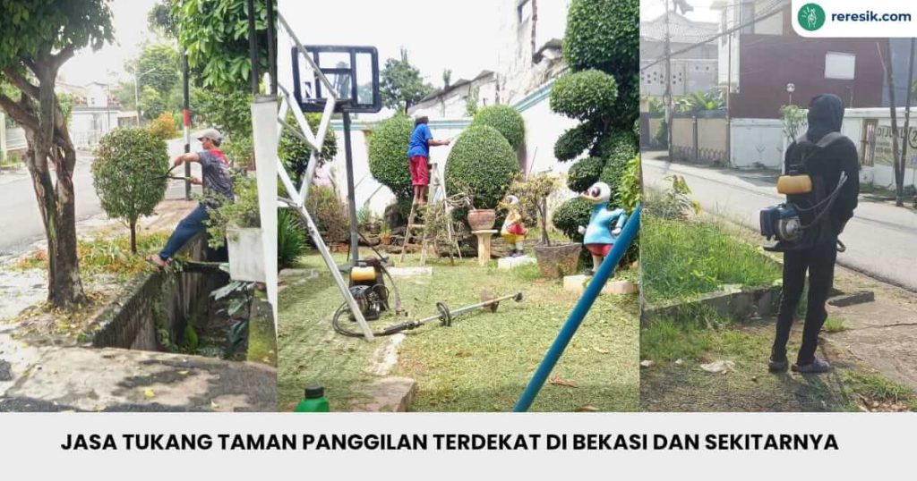 Tukang taman Bekasi sedang melakukan pekerjaan merapikan tanaman dan pemotongan rumput liar
