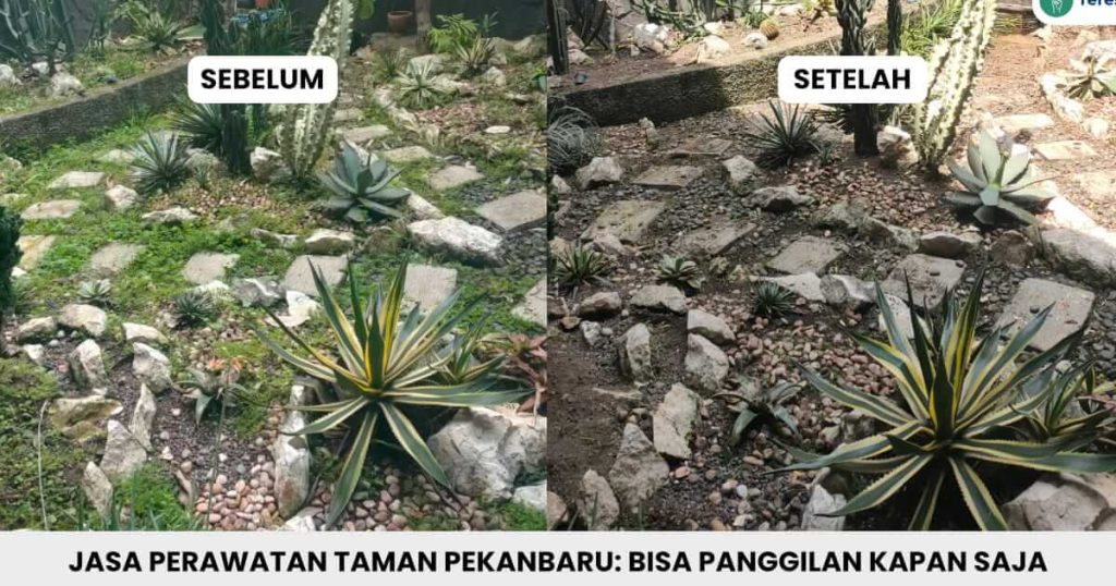 Jasa perawatan taman Pekanbaru