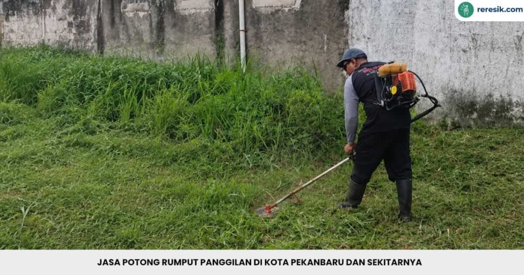 Jasa potong rumput Pekanbaru